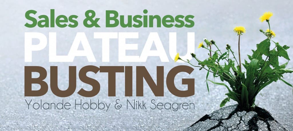 Sales Training & Plateau Busting